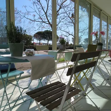 Primula צ'סנטיקו