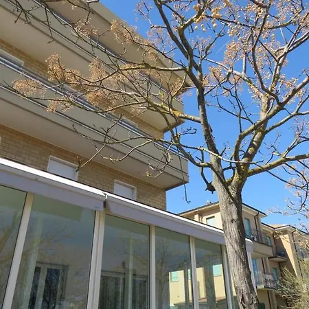 Primula Чезенатико